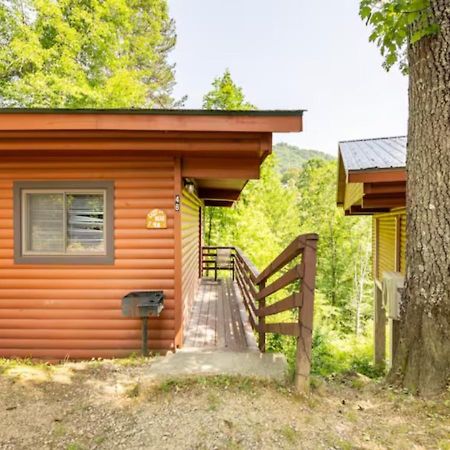 Lazy Bear Cabin Near Nantahala Outdoor Center And مدينة كليرمونت المظهر الخارجي الصورة