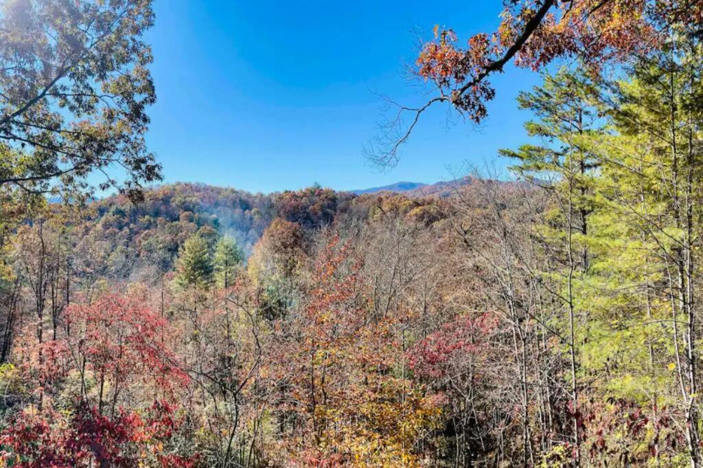 Lazy Bear Cabin Near Nantahala Outdoor Center And مدينة كليرمونت المظهر الخارجي الصورة