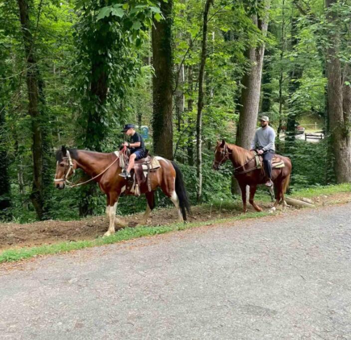 Lazy Bear Cabin Near Nantahala Outdoor Center And مدينة كليرمونت المظهر الخارجي الصورة