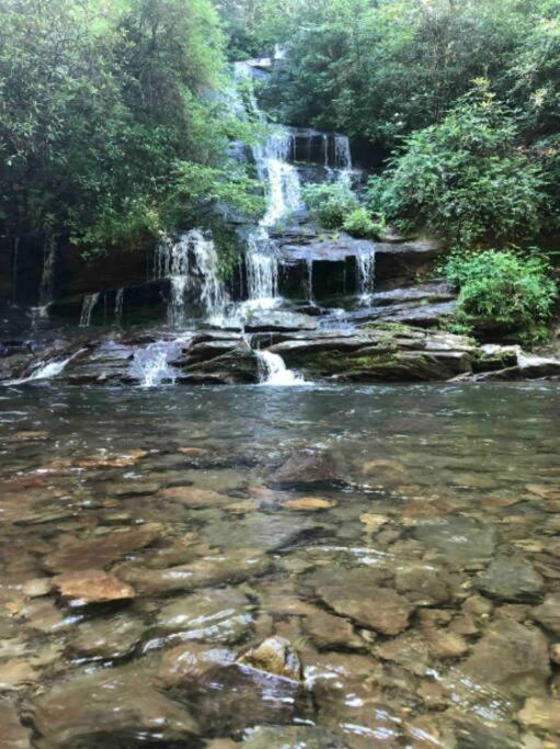 Lazy Bear Cabin Near Nantahala Outdoor Center And مدينة كليرمونت المظهر الخارجي الصورة