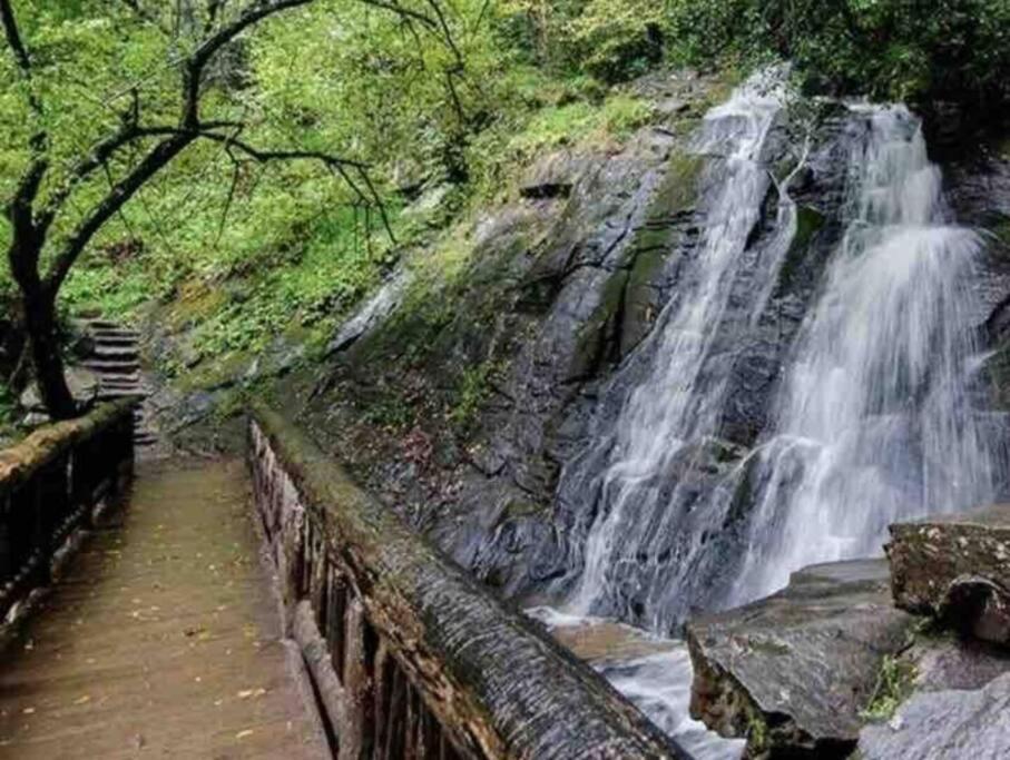 Lazy Bear Cabin Near Nantahala Outdoor Center And مدينة كليرمونت المظهر الخارجي الصورة