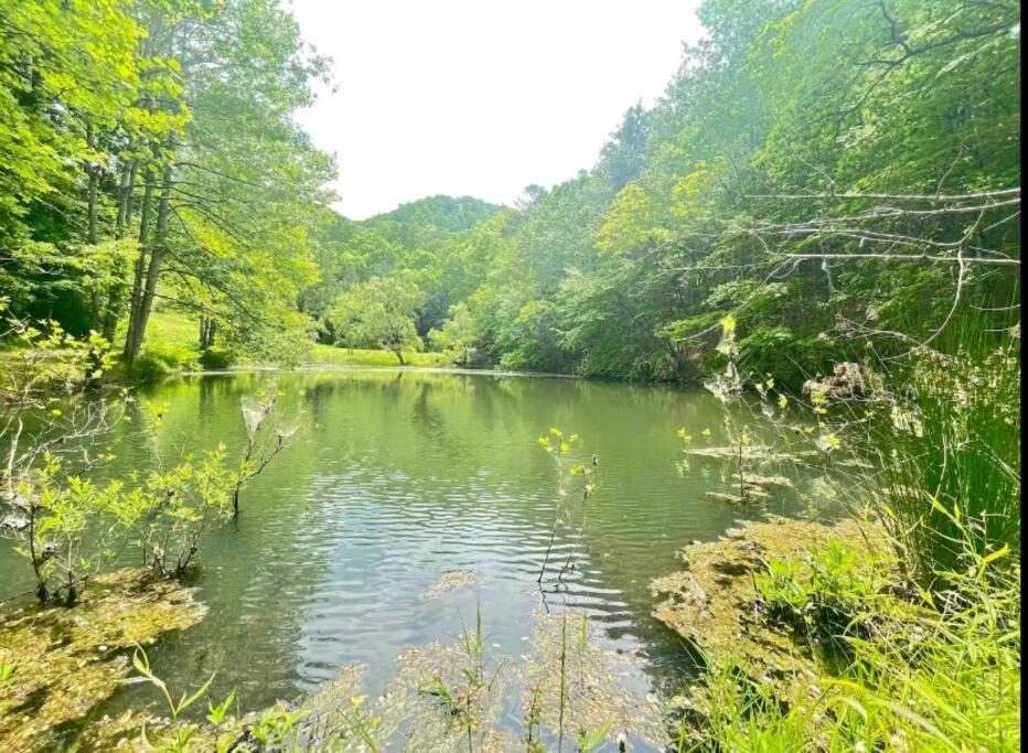 Lazy Bear Cabin Near Nantahala Outdoor Center And مدينة كليرمونت المظهر الخارجي الصورة