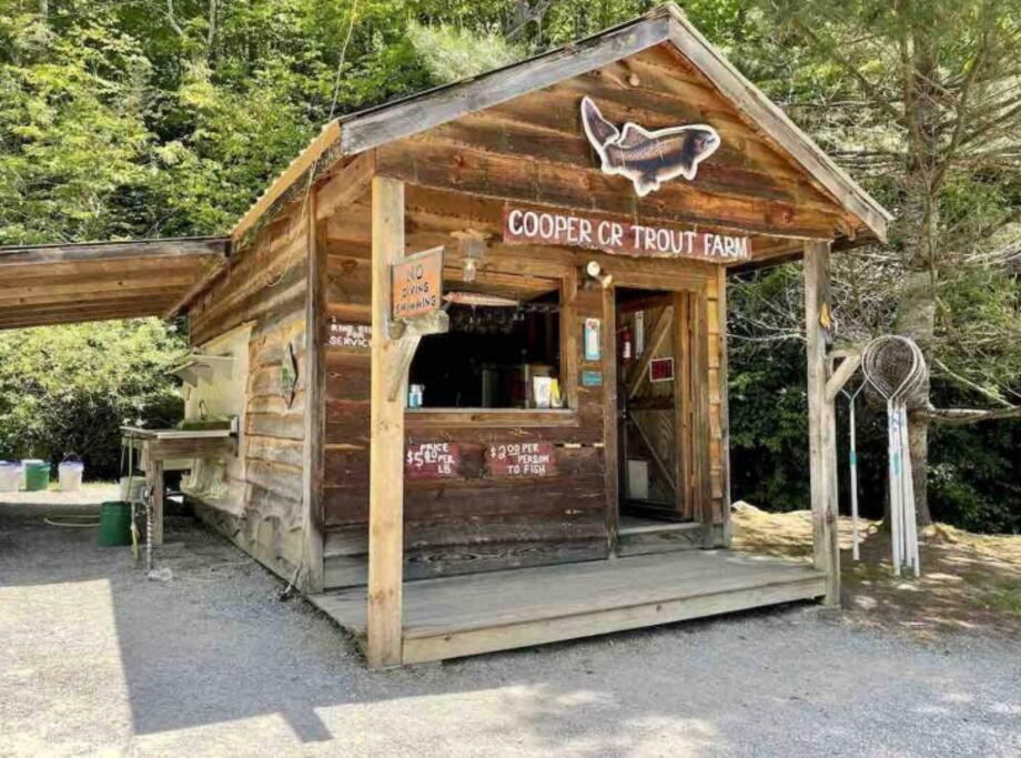 Lazy Bear Cabin Near Nantahala Outdoor Center And مدينة كليرمونت المظهر الخارجي الصورة