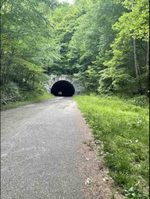 Lazy Bear Cabin Near Nantahala Outdoor Center And مدينة كليرمونت المظهر الخارجي الصورة