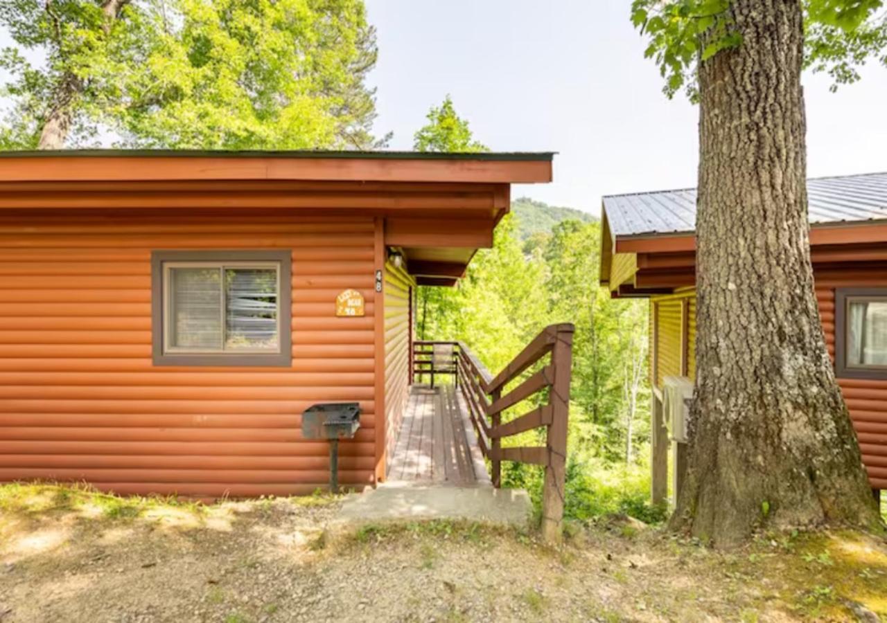 Lazy Bear Cabin Near Nantahala Outdoor Center And مدينة كليرمونت المظهر الخارجي الصورة