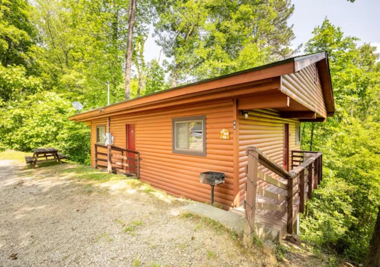 Lazy Bear Cabin Near Nantahala Outdoor Center And مدينة كليرمونت المظهر الخارجي الصورة